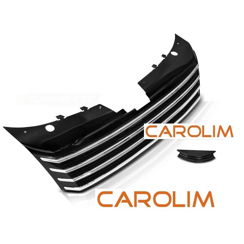 Volkswagen Passat B7 iluvõre