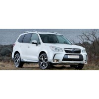 Forester 13-18
